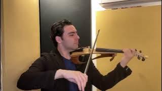 7770011 Violinist