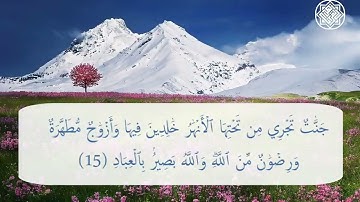 سورة آل عمران الآية 14 و 15