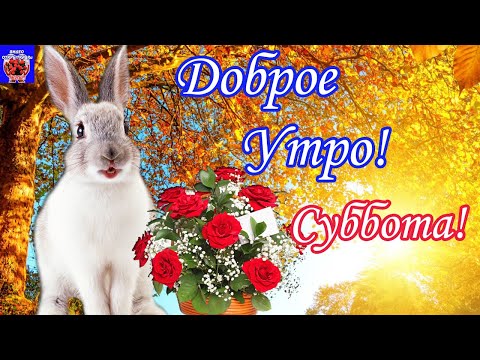 12 февраля. Доброе Утро! Суббота! Хороших Выходных! Отличного Настроения! Выходной Поздравляю! 2022
