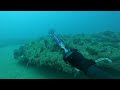 Spearfishing. Urta agua cristal.