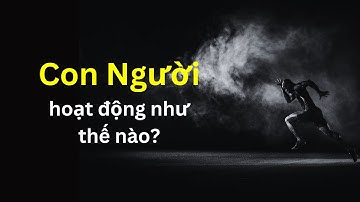 Con Người hoạt động như thế nào? | Tri Thức Nhân Loại