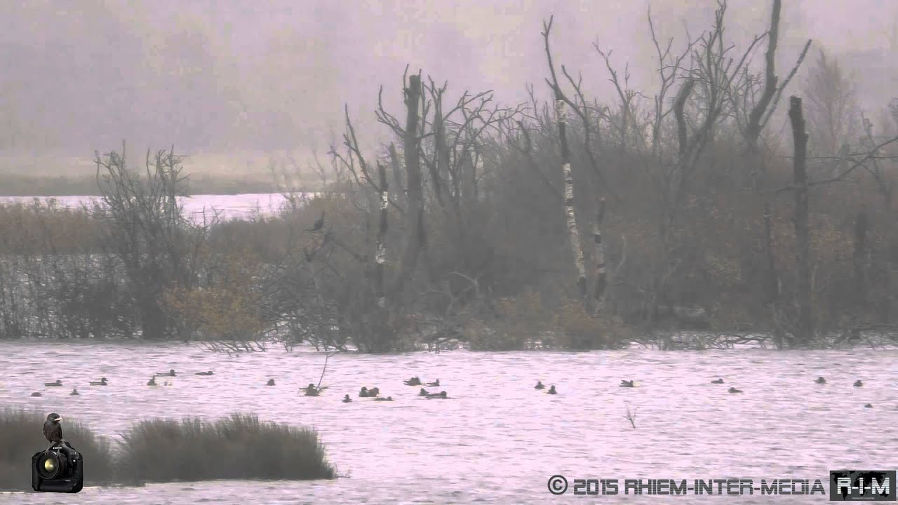 Shitwetter am Polder Glies