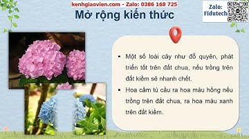 Giáo án powerpoint bài 15: Sinh quyển | GA điện tử địa lí 10 kết nối