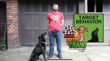 Teaching Your Dog to Target