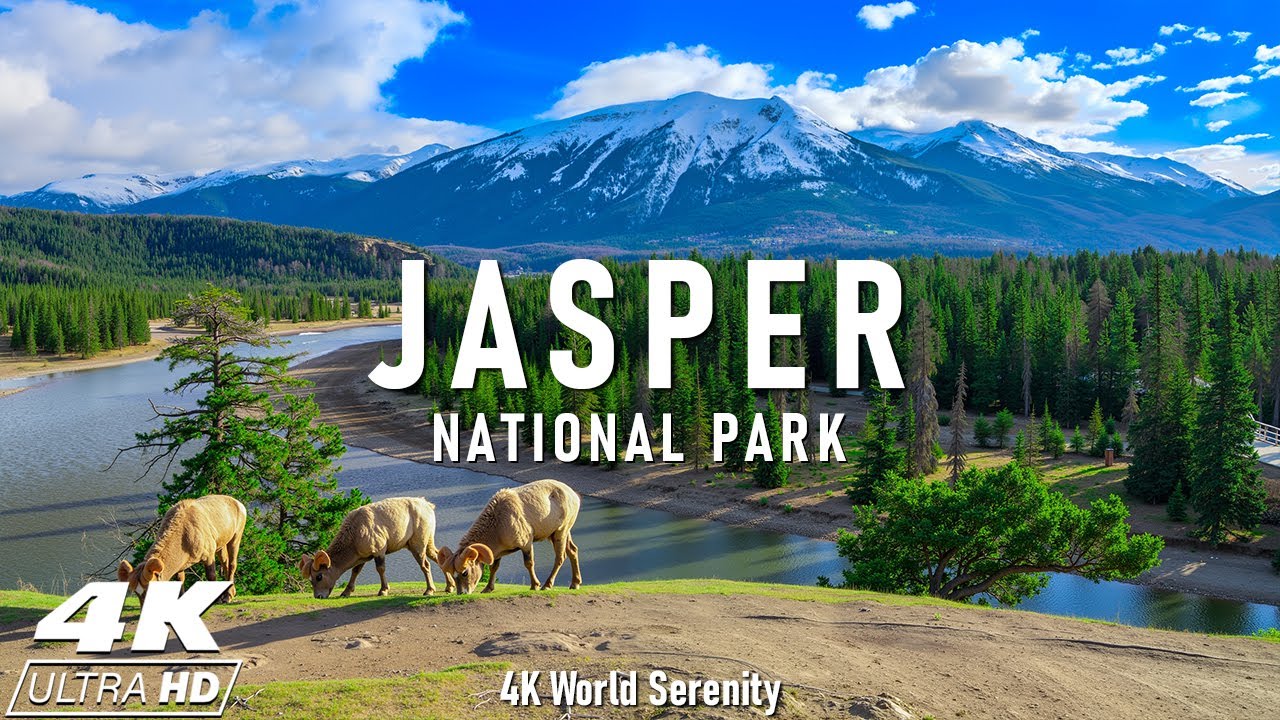 Jasper National Park 4K | The Jewel of Alberta – Discover Jasper’s Stunning Wilderness and Wildlife