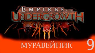 Симулятор муравейника Empires of the Undergrowth # 9