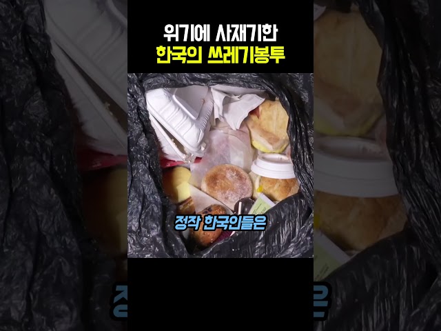 좀비 사태 터져도 분리수거는 할 민족 ㅋㅋㅋ 외국인이 멍해진 한국의 특이한 사재기