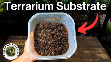 The BEST Substrate Mix For Terrariums - Step By Step Tutorial