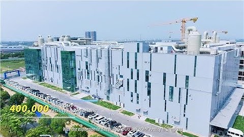 GenScript CRISPR cGMP Reagents Enabling CGT Development