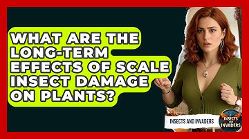 What Are The Long-term Effects Of Scale Insect Damage On Plants? - Insects and Invaders