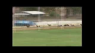 Gawler-07042015-Race-9