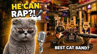Crinkle the Rapping Cat Drops a Hit Single! - Kitty Cafe UK - Cat Rescue and Cat Cafe