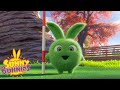 Videos For Kids | Sunny Bunnies GOLDEN GOLF CLUB | SEASON 2 | Funny Videos For Kids