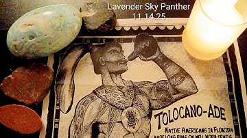 230 | 🌿✨️ TOLOCANO Anyone? - Lavender Sky Panther 11.14.25