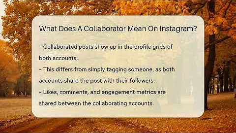 What Does A Collaborator Mean On Instagram? - Everyday-Networking