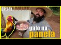 nosso almoço foi galo caipira com mandioca