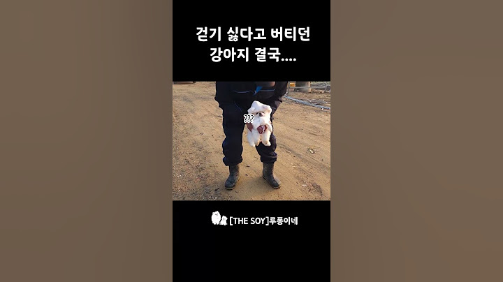 지나가다 인형을 주웠어요ㅋㅋㅋ 무서운 할아버지와 용맹한 강아지