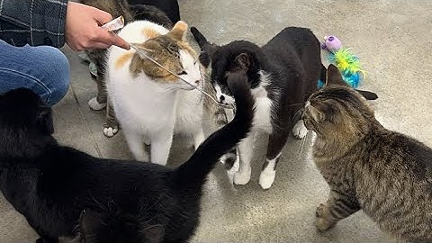 Second verse, same as the first