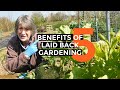 5 Advantages of LAZY Gardening | Energy Saving Garden Hacks (March 2020)