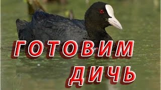 "Готовим дичь"  ЛЫСУХА! Быстро и вкусно.