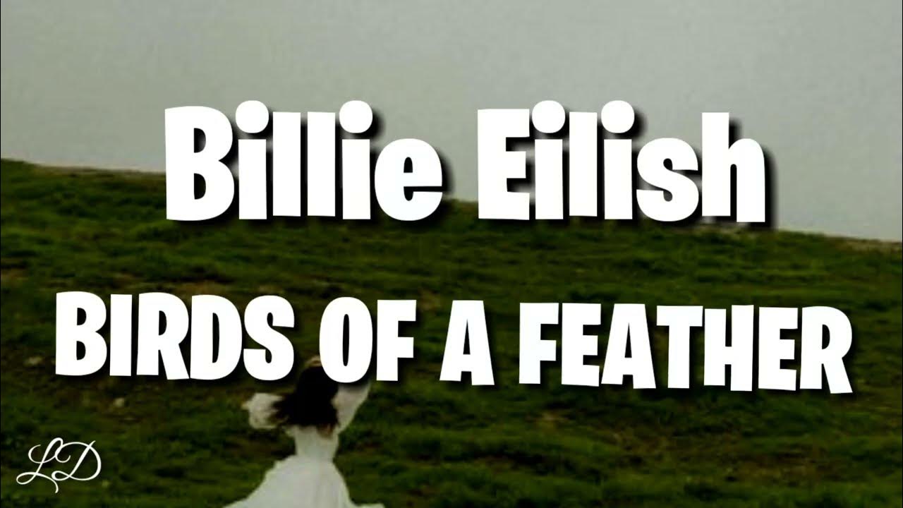Billie Eilish - Birds Of A Feather (Lyrics) - YouTube