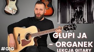 Organek - Głupi Ja | Lekcja Gitary