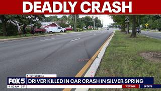 Driver killed after vehicle crashes into tree in Silver Spring | FOX 5 AT 4AM