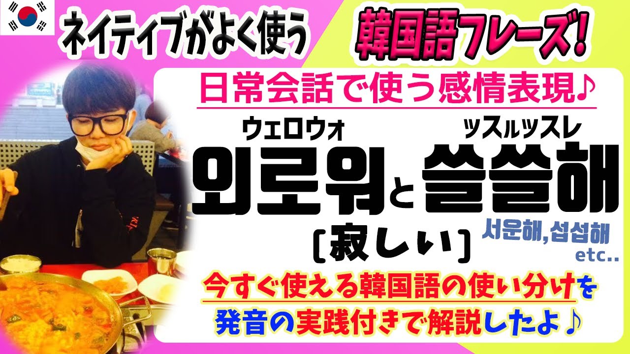 楽しい韓国語勉強 77 韓国の感情表現でよく使う 寂しい の使い分けがこれで完璧 Youtube