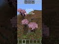 Minecraft sunflower field seed for girls #minecraft #minecraftboy #gaming #viral