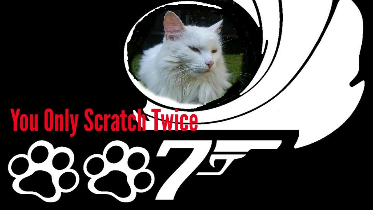 You Only Scratch Twice - Mission: Protect The Scratch Pad | 007 Of The