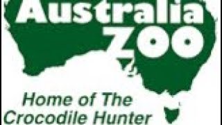 Experience the thrill of Australia Zoo like never before