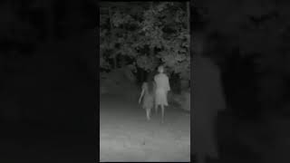 Cryptids take the girl to the forest