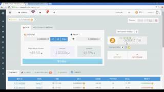 Bitsboy Bot - The midnight makesup Bot to work with the Bitsler Gambling screenshot 5
