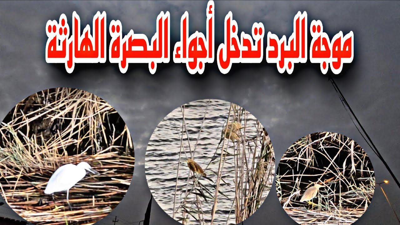 موجة البرد تدخل أجواء البصرة الهارثة 