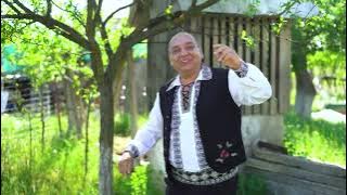 Dorel Savu - Cioc, cioc, bat in ușă. Nou 2025
