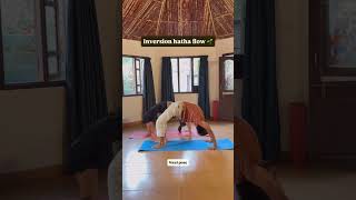 Hatha inversion flow try it #yoga #inversions #viral #dailyyoga