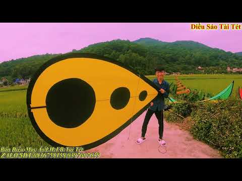 Video ĐUÔI DÁI DIỀU TO NHẤT VIỆT NAM | Diều Sáo Tài Tét - youtube