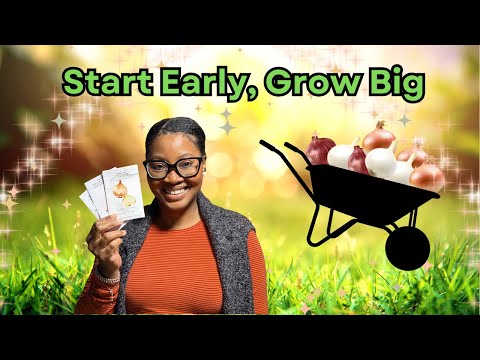 Video Starting Onion Seeds in January For A Bigger Harvest | Easy (Unconventional) Indoor Sowing Method
