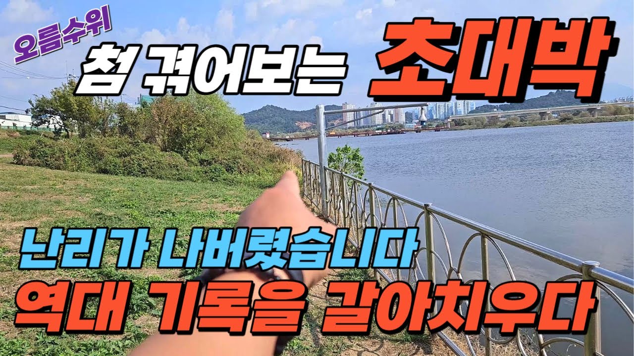 이런걸 대박이라고 하는거야// 오름수위 환장하고 달라드는 붕어떼#big fishing