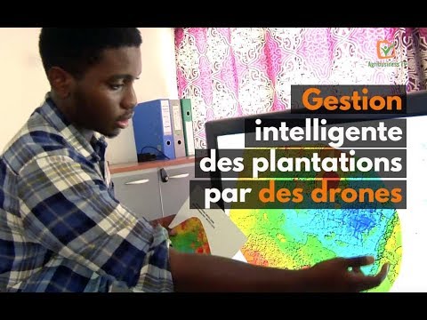 Côte d'Ivoire : Gestion intelligente des plantations par des drones