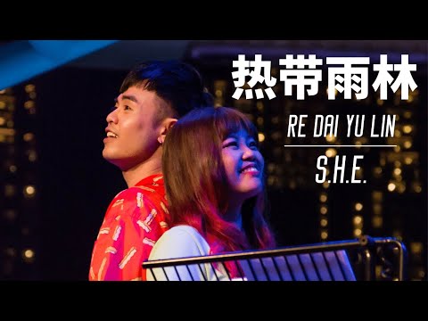 Re Dai Yu Lin 热带雨林 - S.H.E. (Hoodw¡nked Cover)