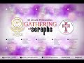 Capture de la vidéo Gathering Of Seraphs (50Th Anniversary Seraphvoices)