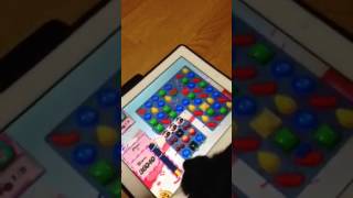aris's  friend ,a toypuddle dog play candy crush screenshot 4