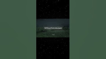 سورة الفجر|27-30|القارئ:#محمد_اللحيدان #قران #quran #راحة_نفسية #قران_كريم  #تلاوة_هادئة#تلاوة_خاشعة