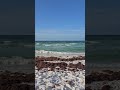 #salttherapy incoming 🩵💙🍚 #florida #beach #saltlife #emeraldcoast #gulf #waves #peace #beachlife