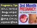 3rd month baby development in tamil  baby weight  pregnancy scan  3rd month baby activities