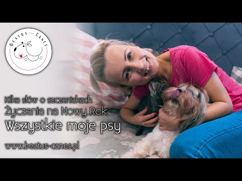 Wideo: Jak Ubrać Psa Na Nowy Rok