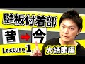 【腱板付着部】#1"昔"と"今" ~大結節編~