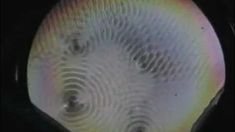 4 walking droplets interacting