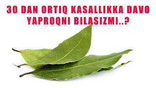 Otkinchilar bilan rus porno firibgarliklari